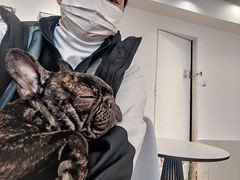 -Let's go狗咖·猫咖·奶狗·桌游(春熙路IFS店)