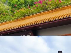 -深圳市中科院仙湖植物园