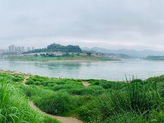 -金海湾滨江公园