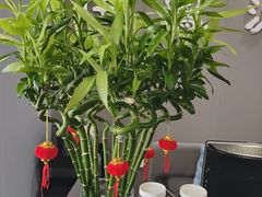 -田凤波推拿.按摩养生(幸福店)