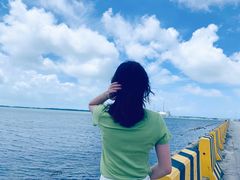 -汕尾风车岛