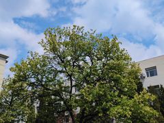 -东北大学(南湖校区)