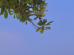-恒盛海鲜餐厅