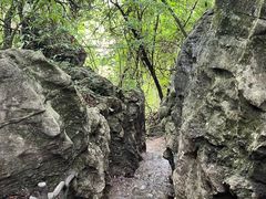 -普者黑风景区-青龙山