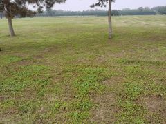 -汉长安城未央宫国家考古遗址公园