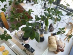 -隹木咖啡馆(宝龙广场店)