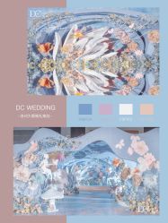 -DC大蔡婚礼策划(李公堤店)