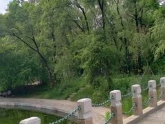 -黑龙江省森林植物园