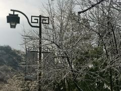 -杭州半山国家森林公园