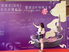 -南京维景国际大酒店(南京博物院店)