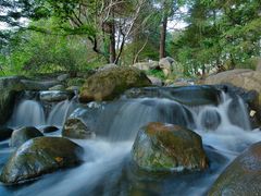 -上海共青森林公园