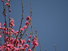 -塔子山公园