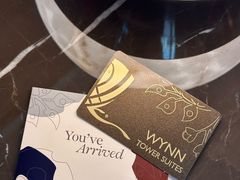 -拉斯维加斯永利酒店