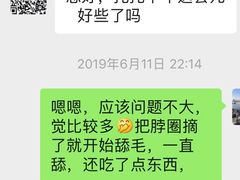 -宠爱国际动物医院·疑难骨科·心肾内科·皮肤科(太阳宫店)