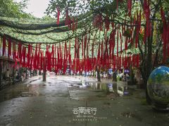 -西双版纳原始森林公园