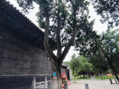 -关林