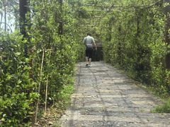 -武隆天坑寨子景区