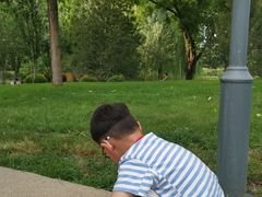 -仁和公园(顺义区)