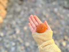 -银沙滩浴场