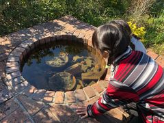 -三鹰之森吉卜力美术馆