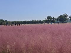 -汉长安城未央宫国家考古遗址公园