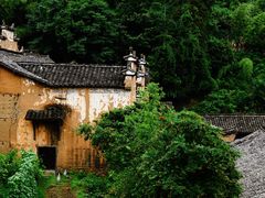 -杨家堂村