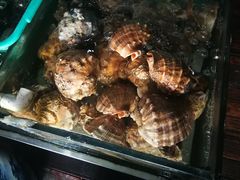 -浩运·海鲜青岛菜·海胆水饺(石老人店)