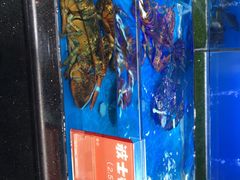 -眉州东坡(博雅店)