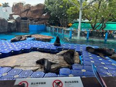 -海合安成都极地海洋公园