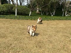 -杭州城北体育公园