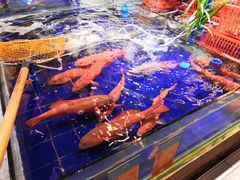 -79号渔船海鲜饭店(华强北店)