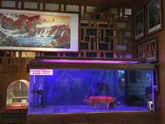-老江南春·中国龙菜(衡山路店)