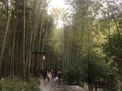 -天目湖御水温泉·度假酒店