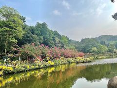 -深圳仙湖植物园-停车场