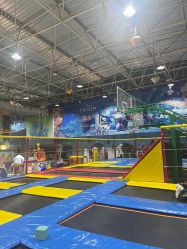 -爱丽丝奇幻乐园