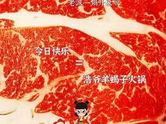 -浩爷羊蝎子火锅(望京店)