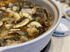 -爱膳菌锅锅(阳南店)