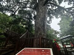 -终南山南五台景区