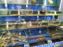 水产区-雅逸居海鲜小厨