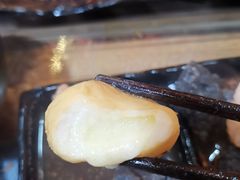 芝士丸-丽江庭院之爱在路上(西单店)