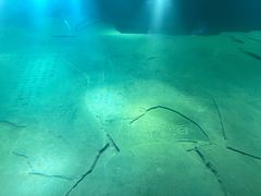 -白鹤梁水下博物馆