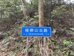 -梧桐山风景名胜区