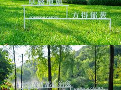 -云溪植物园