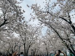 -龙美术馆(西岸馆)