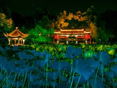 -房湖公园