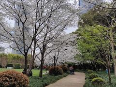 -陆家嘴中心绿地