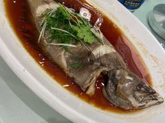 清蒸鸦片鱼-渔人码头(中南店)