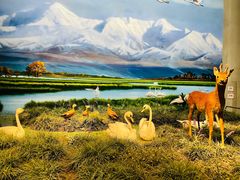 -中国湿地博物馆