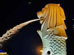 -鱼尾狮公园