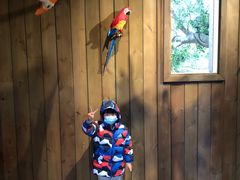 -杭州开元森泊度假乐园